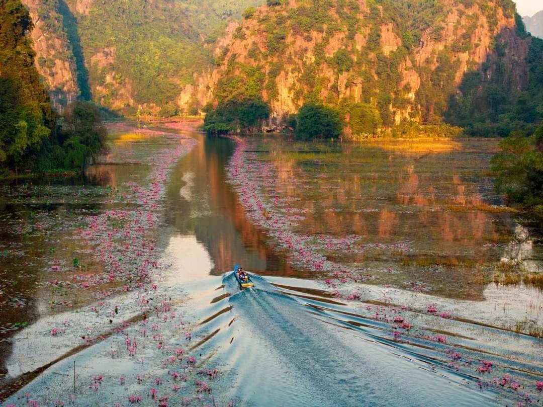 Tam Coc Paradise Homestay Ninh Bình Extérieur photo
