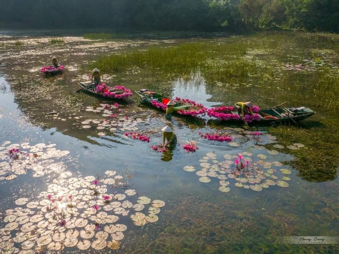 Tam Coc Paradise Homestay Ninh Bình Extérieur photo